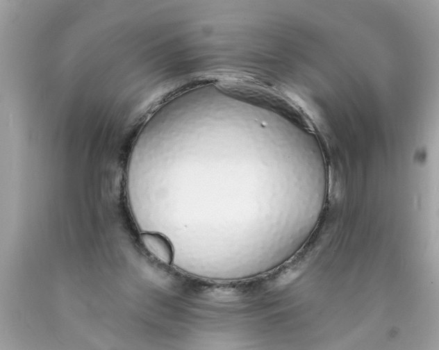 X0000089880157200707262216