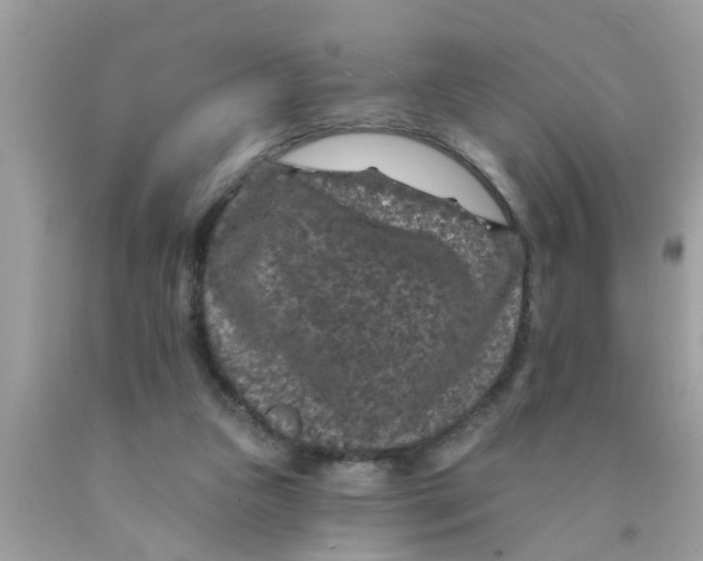 X0000089880161200707262217