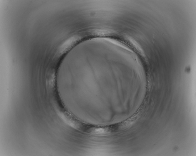 X0000089880163200707262217