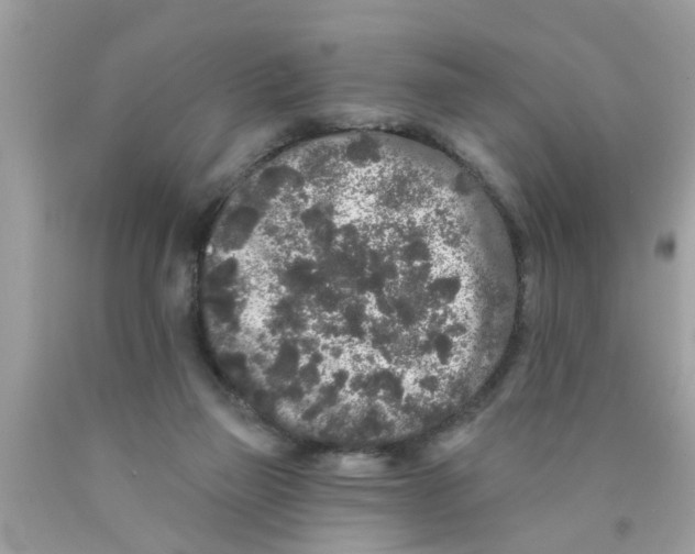 X0000089880165200707262217