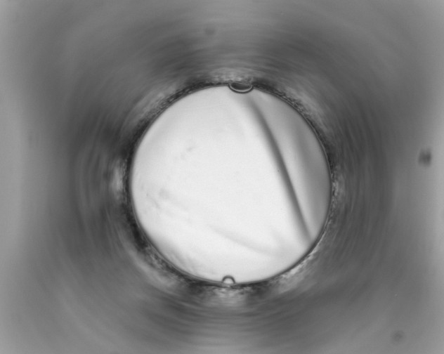 X0000089880166200707262217