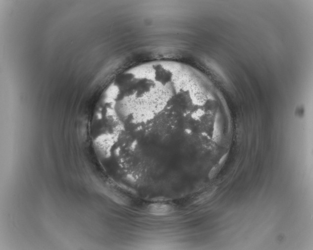 X0000089880169200707262217