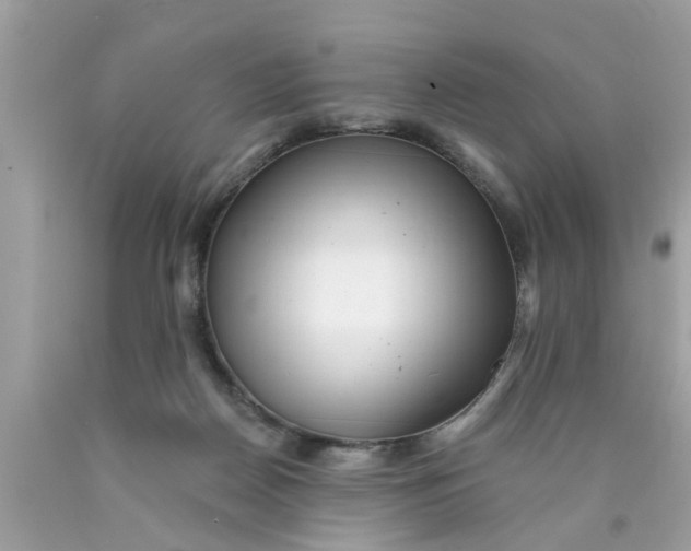 X0000089880170200707262217