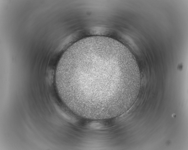 X0000089880171200707262217