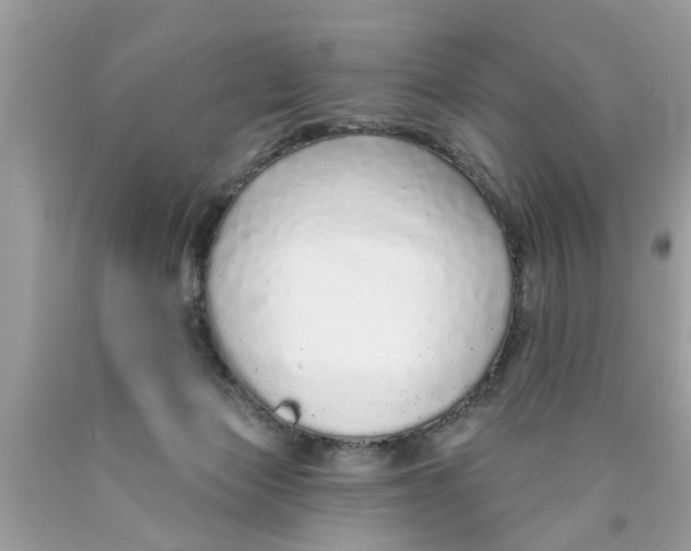 X0000089880173200707262217