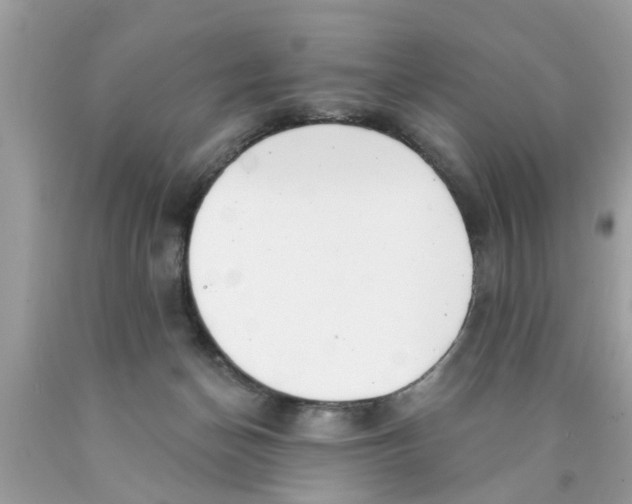 X0000089880174200707262217