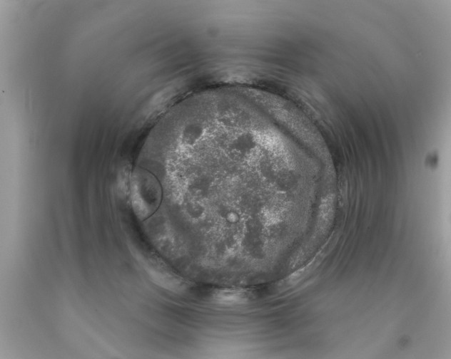 X0000089880175200707262217