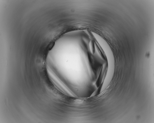 X0000089880176200707262217