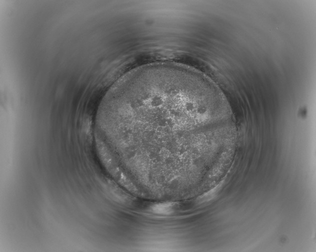 X0000089880178200707262217