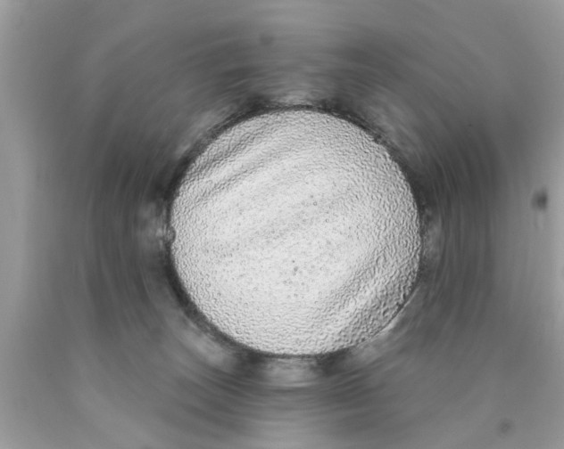 X0000089880179200707262217