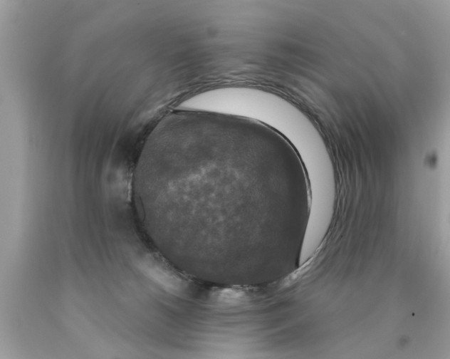 X0000089880180200707262217