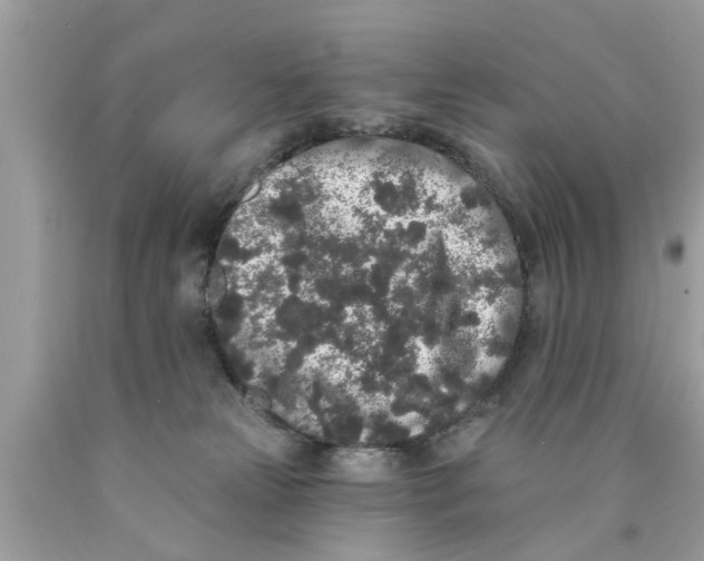 X0000089880181200707262217