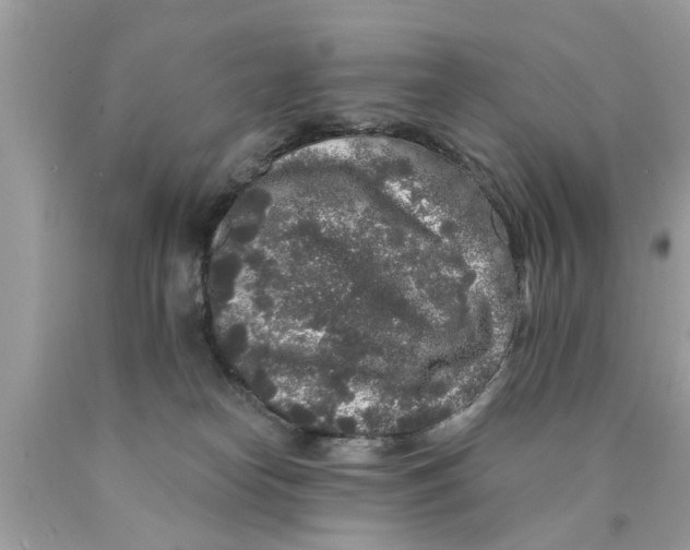 X0000089880182200707262217