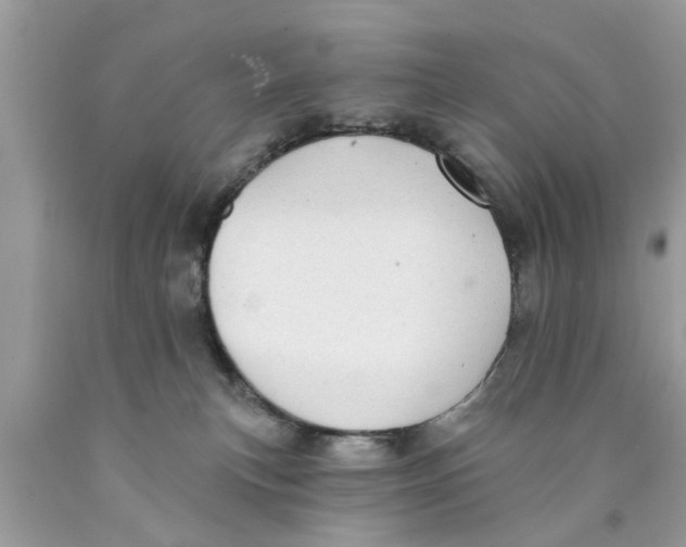 X0000089880183200707262217