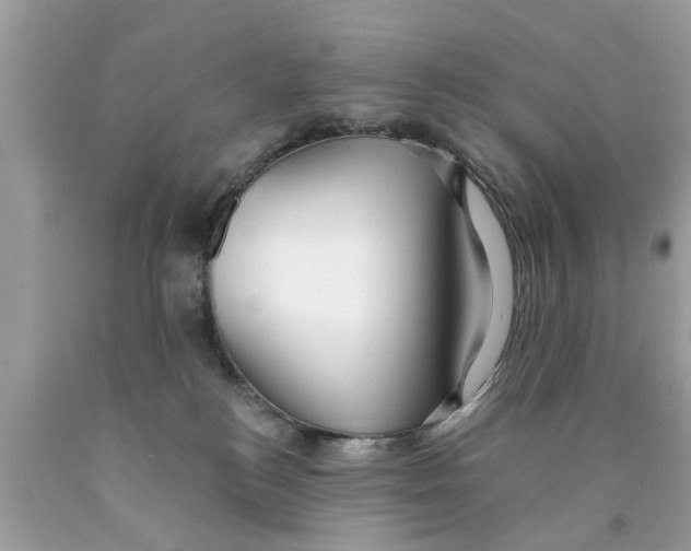 X0000089880184200707262217