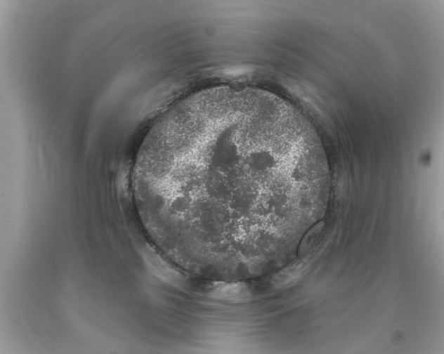 X0000089880185200707262217