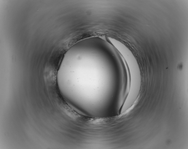 X0000089880186200707262217