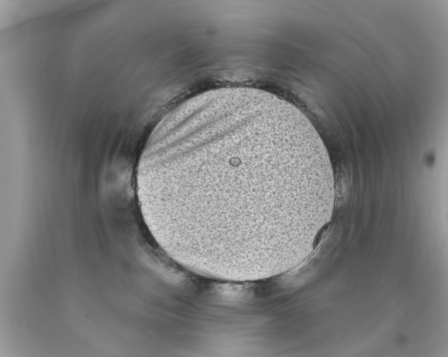 X0000089880187200707262217