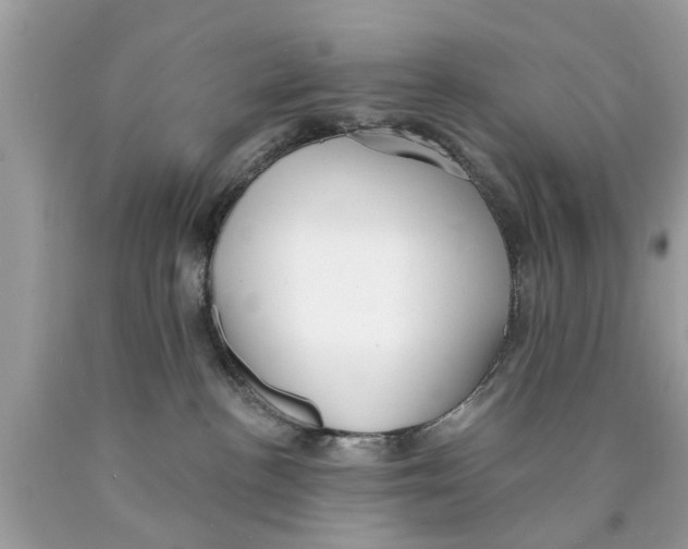 X0000089880188200707262217