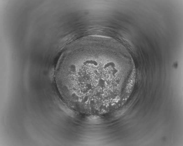 X0000089880189200707262217