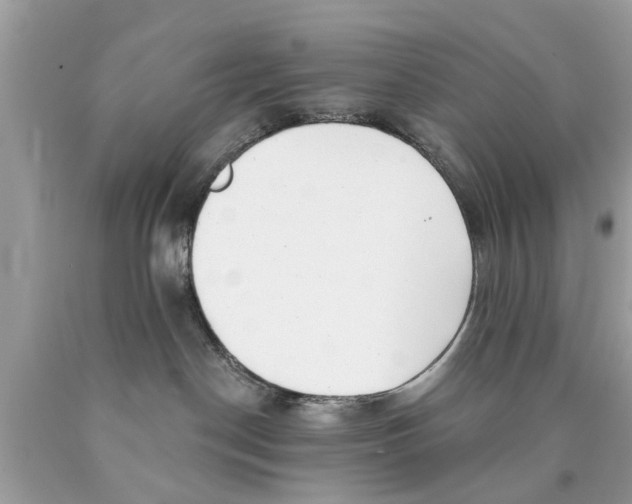 X0000089880190200707262217