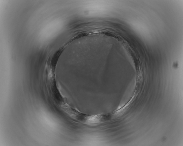 X0000089880191200707262217