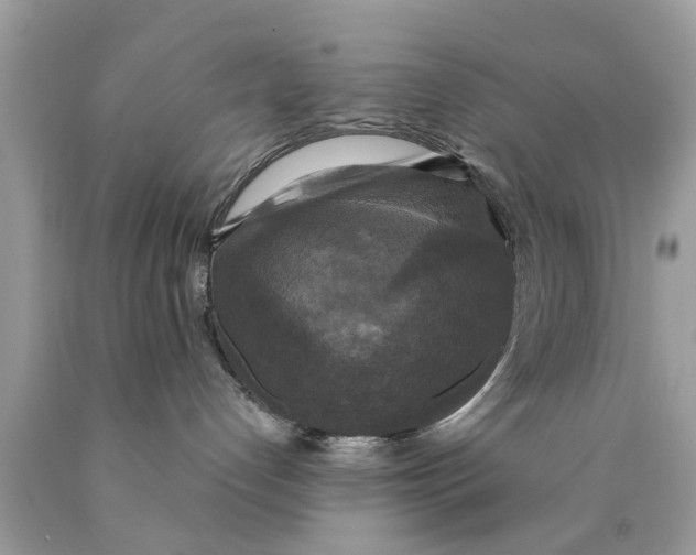 X0000089880192200707262217