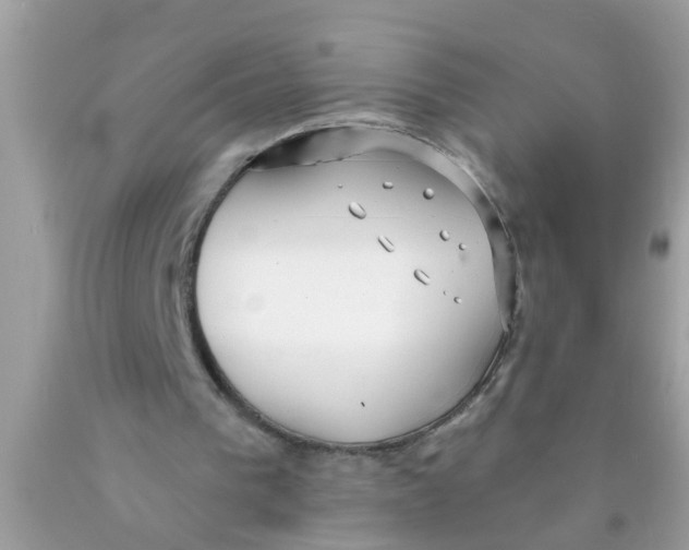 X0000089880193200707262216