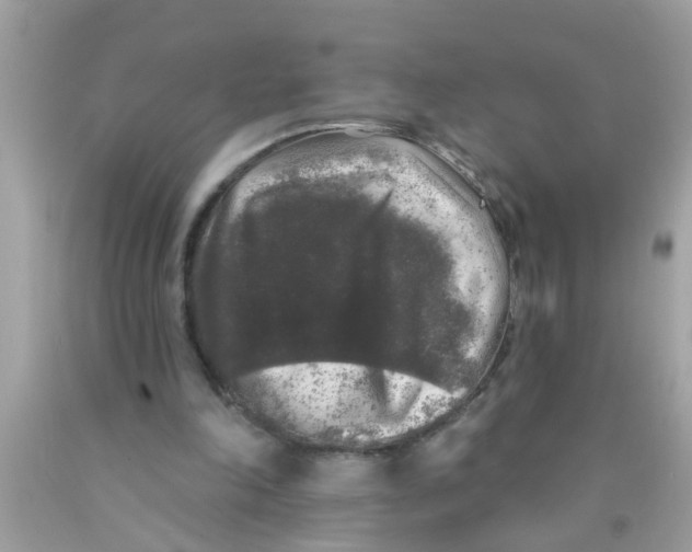 X0000089880198200707262216