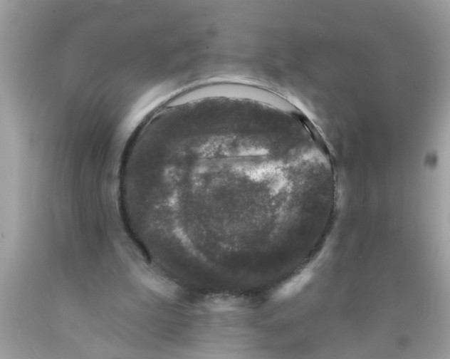 X0000089880199200707262216