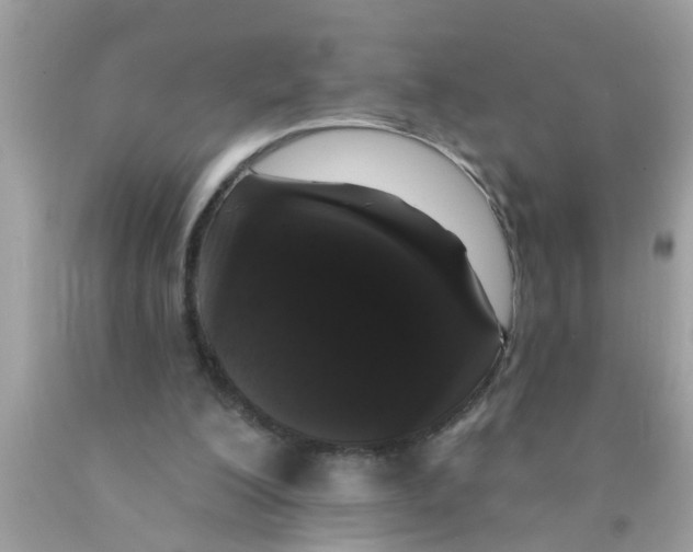 X0000089880200200707262216