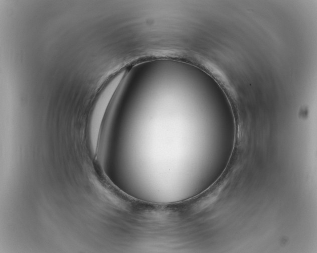 X0000089880201200707262216