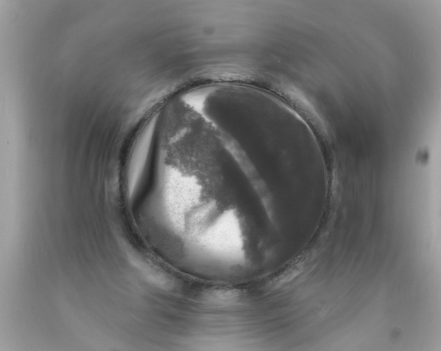 X0000089880202200707262216