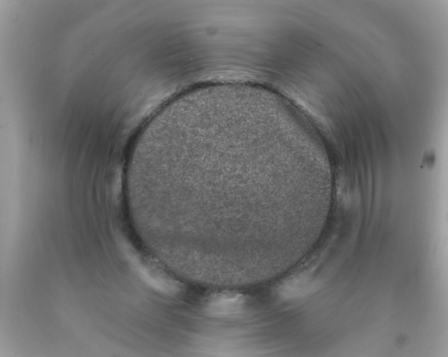 X0000089880206200707262216