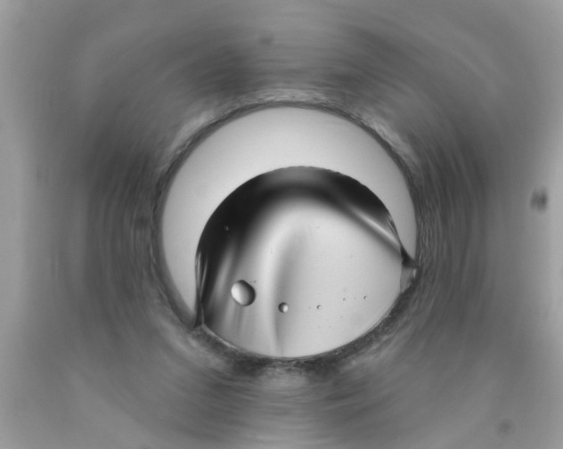 X0000089880207200707262216