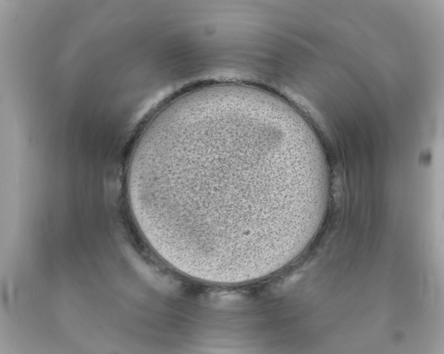 X0000089880208200707262216