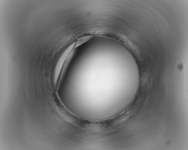 X0000089880209200707262216