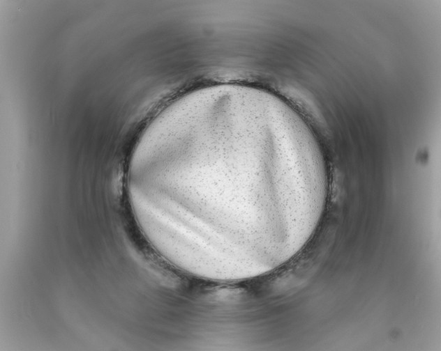 X0000089880210200707262216