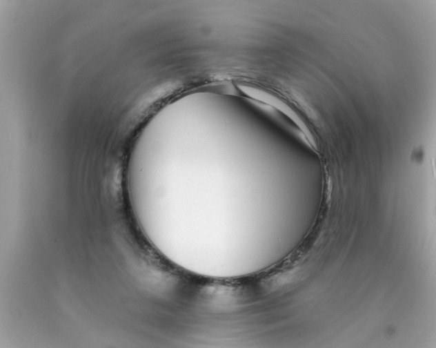 X0000089880211200707262216