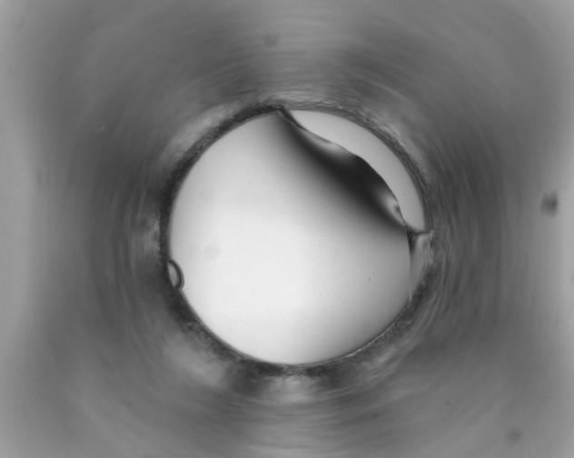 X0000089880212200707262216