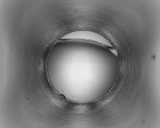 X0000089880213200707262216