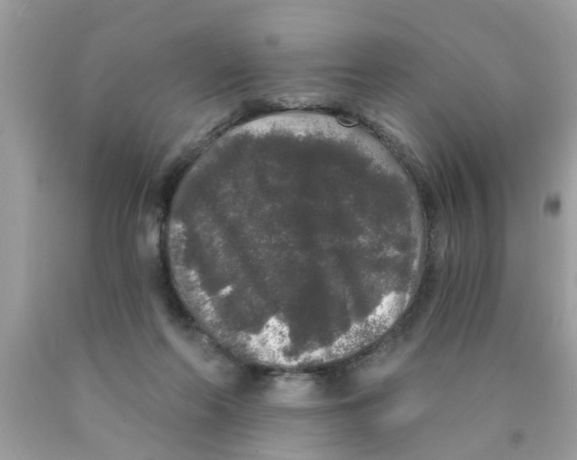 X0000089880214200707262216