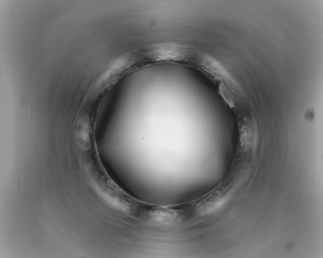 X0000089880215200707262216