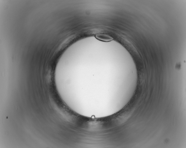 X0000089880216200707262216