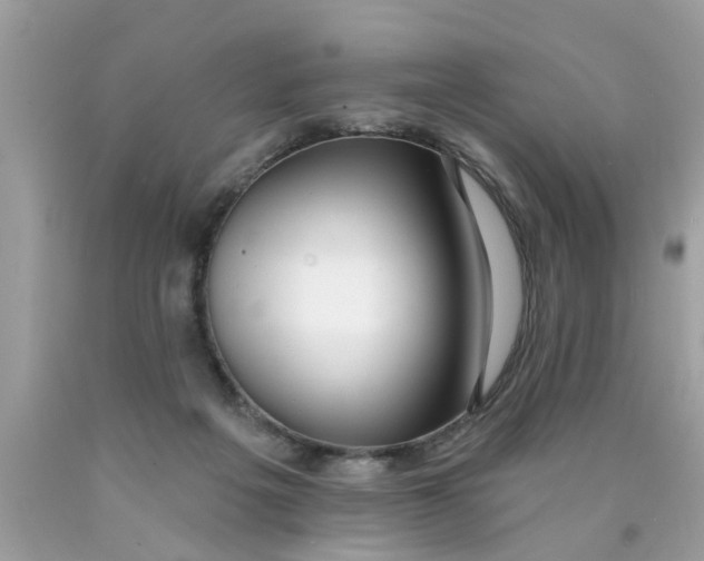 X0000089880217200707262216