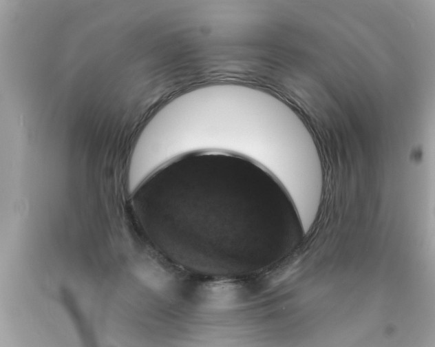 X0000089880219200707262216