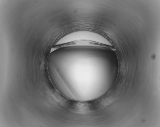 X0000089880221200707262216