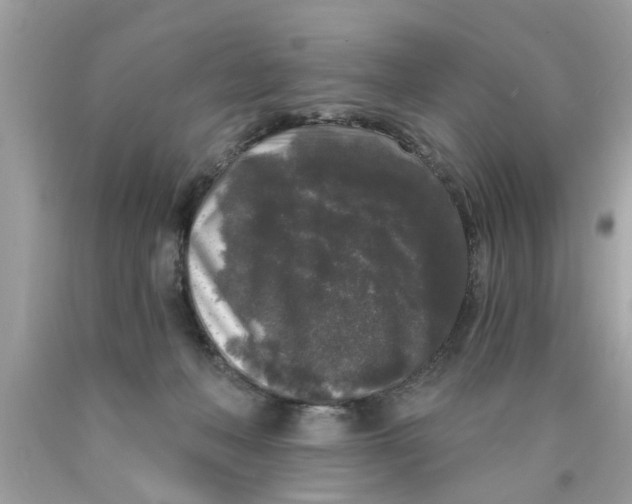 X0000089880222200707262216