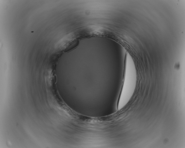 X0000089880223200707262216