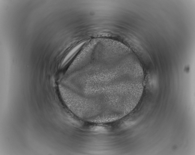 X0000089880224200707262216